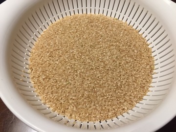 IMG_1522.JPGのサムネール画像