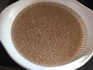 IMG_1523.JPGのサムネール画像