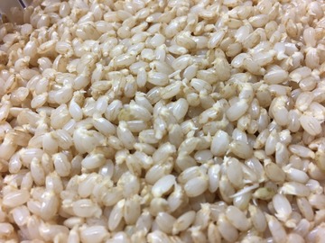 IMG_1525.JPGのサムネール画像