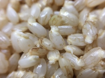 IMG_1526.JPGのサムネール画像のサムネール画像