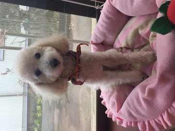 IMG_1304.JPGのサムネール画像