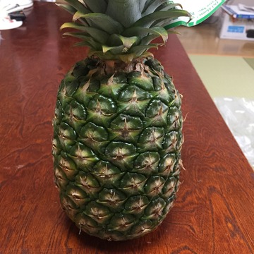 IMG_0678.JPGパイン