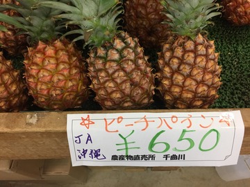 IMG_0684.JPGぴーちぱいん