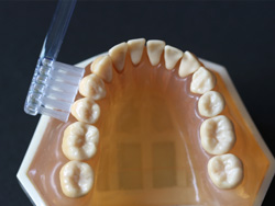 歯ブラシの柄をギューっと握っていますか?それとも軽<握っていますか?