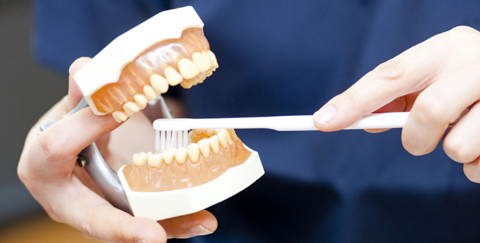 定期検診で健康なお口に